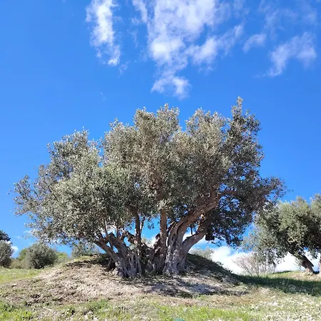 Finazzo Balata di Baida
